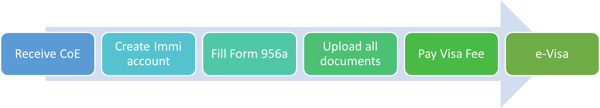 Visa Process